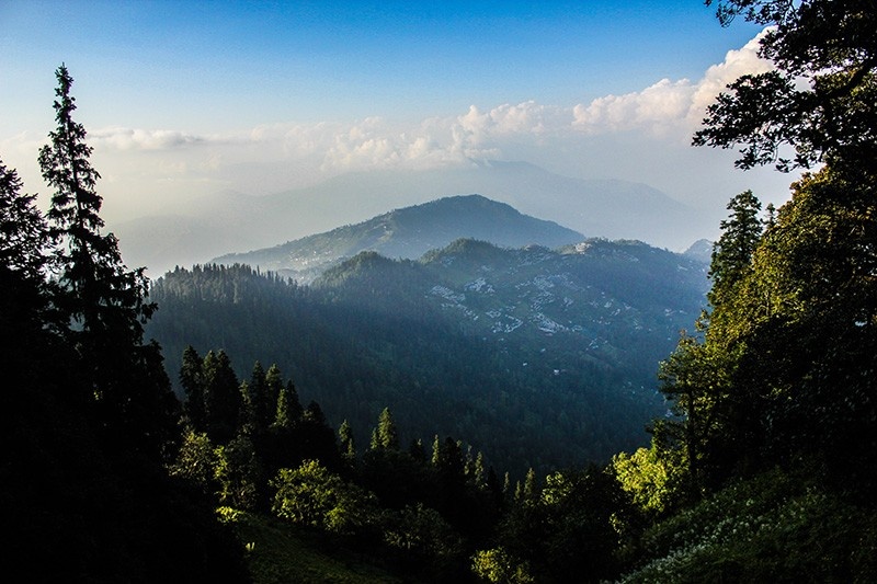 Hidden Gems in Shimla: Explore Offbeat Places Like Mashobra, Naldehra & Fagu